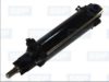 DAIML 0007632901 Slave Cylinder, door